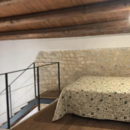 Maltese16 * Модика