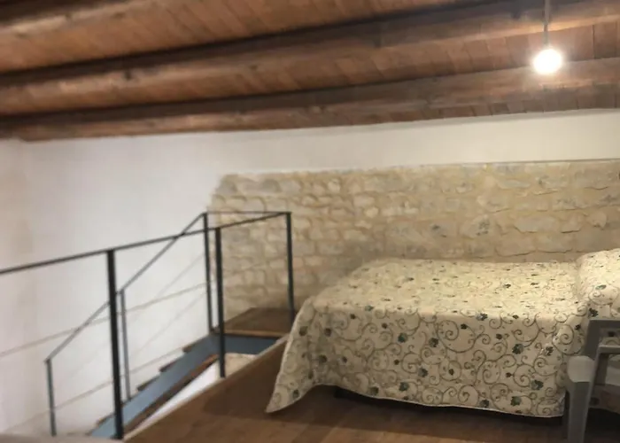Maltese16 * Модика