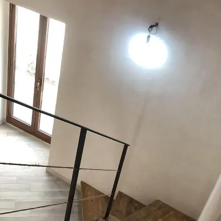 Maltese16 *