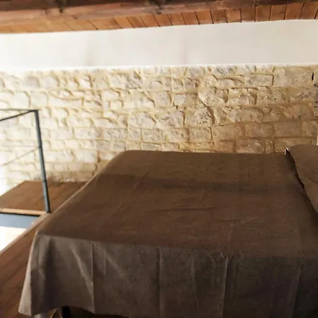 Maltese16 * 莫迪卡