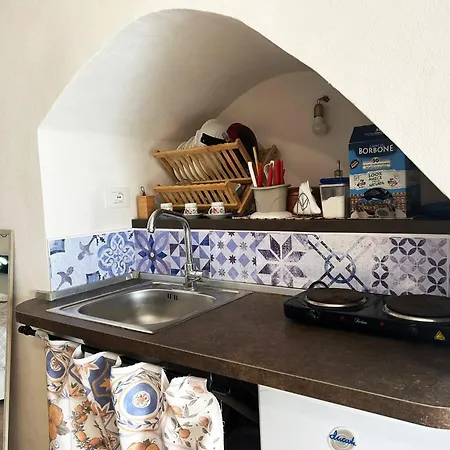 Maltese16 모디카