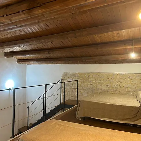 Maltese16 *
